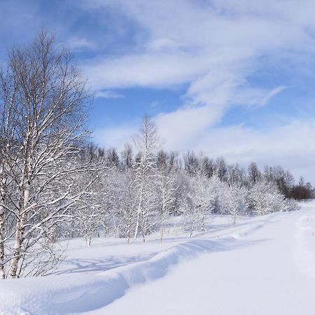 Wild Caribou'S Wildwood Cabin Lakselv Exterior foto